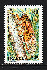 Франция, 1977, Насекомые, Ночные бабочки, 1 марка